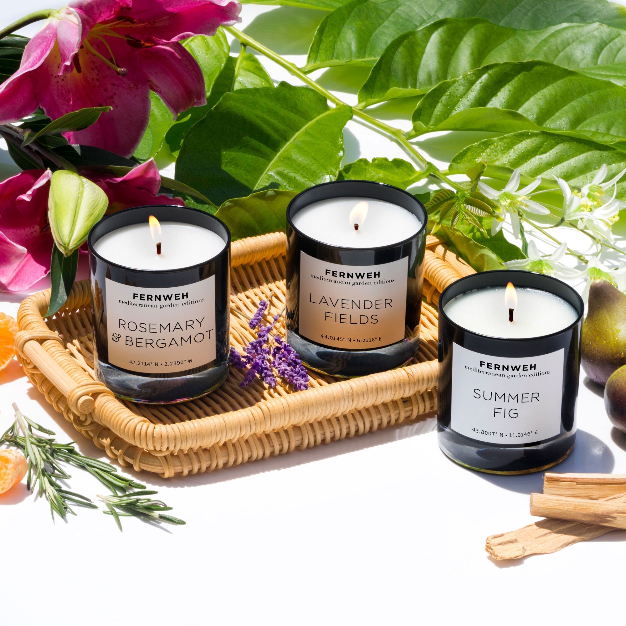 Lavender Fields Scented Soy Candle